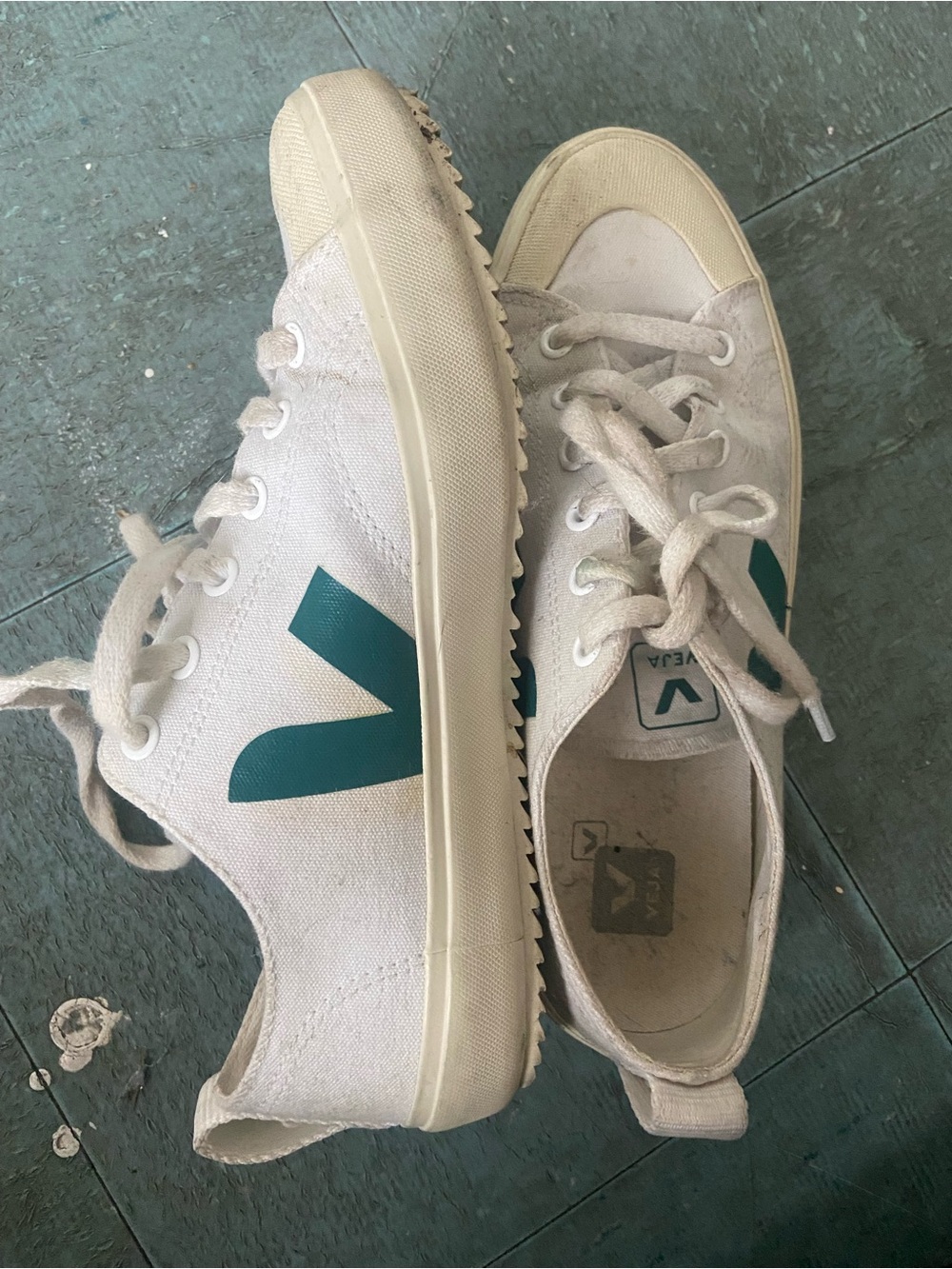 VEJA Nova Logo Canvas Sneakers